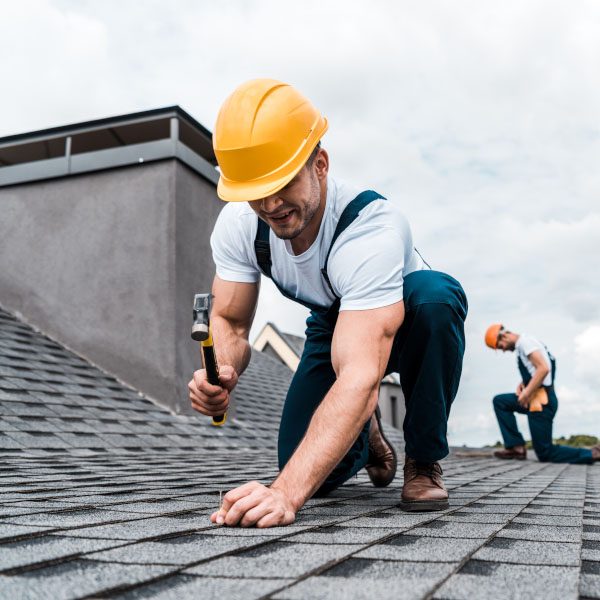 selective-focus-of-handyman-holding-hammer-while-r-8KB24RL.jpg